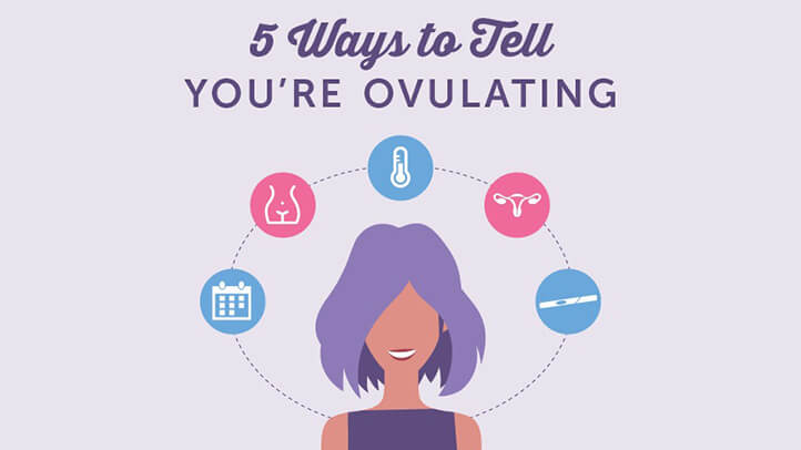 how to predict ovulation