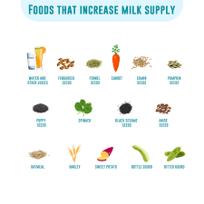 foods to increase breast milk supply
